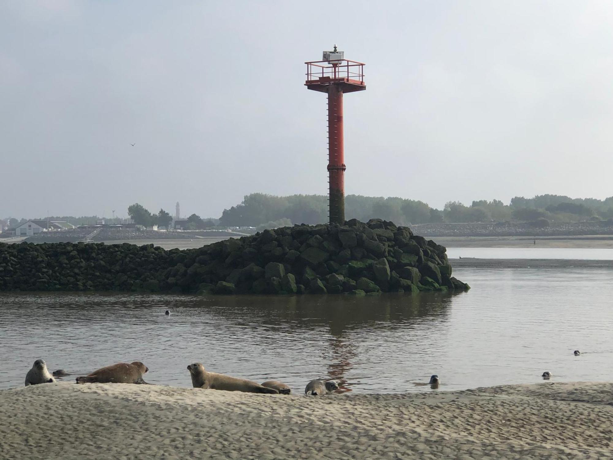 L'Escapade - Hardelot Plage - Parking Prive Neufchatel-Hardelot Luaran gambar